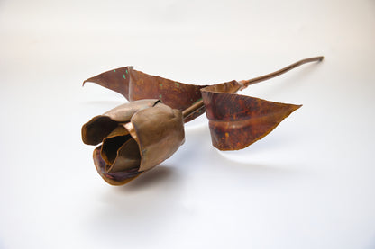 Aged Copper Tulip