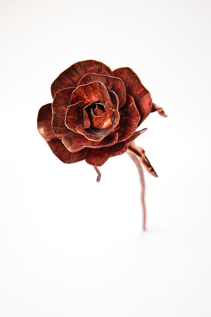 Copper Rose